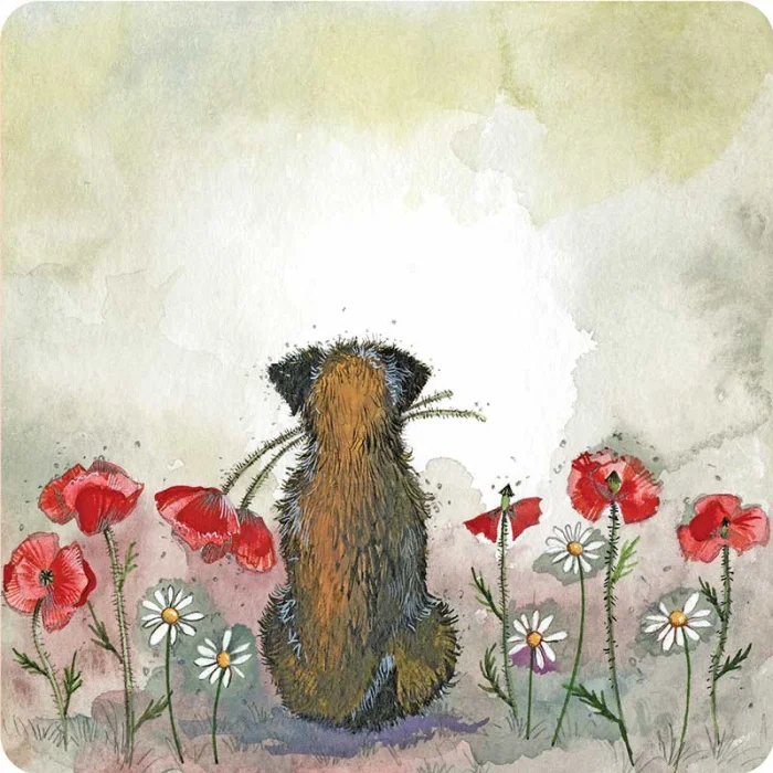 Border and Poppies Coaster C190, podložka pod pohár