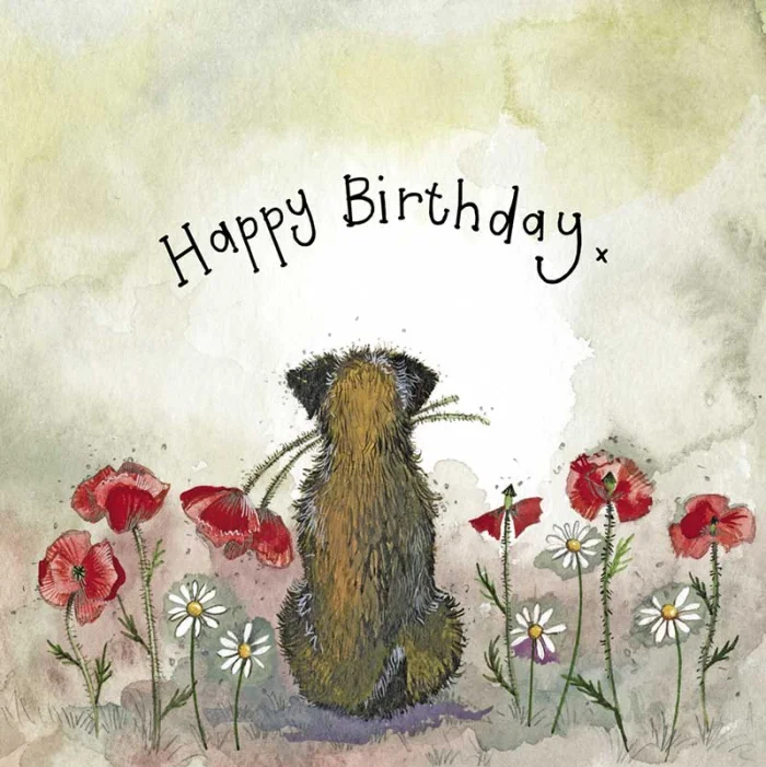 Sunshine Border and Poppies Birthday Card (S419), prianie