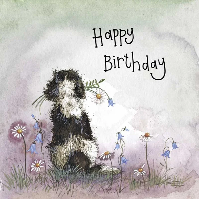 Sunshine Spaniel Birthday Card (S425), prianie