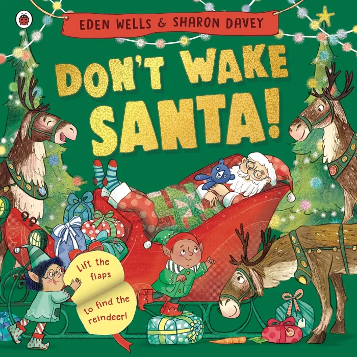 Don't Wake Santa, anglická kniha