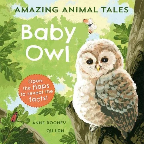 Baby Owl, anglická kniha