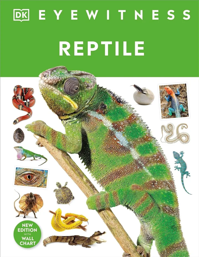 Reptile, anglická kniha