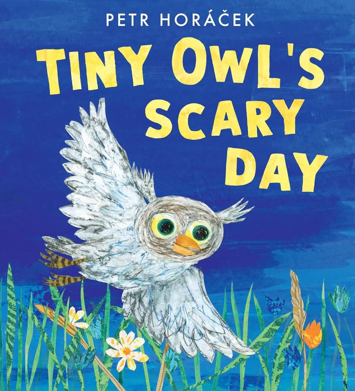 Tiny Owl's Scary Day, anglická kniha