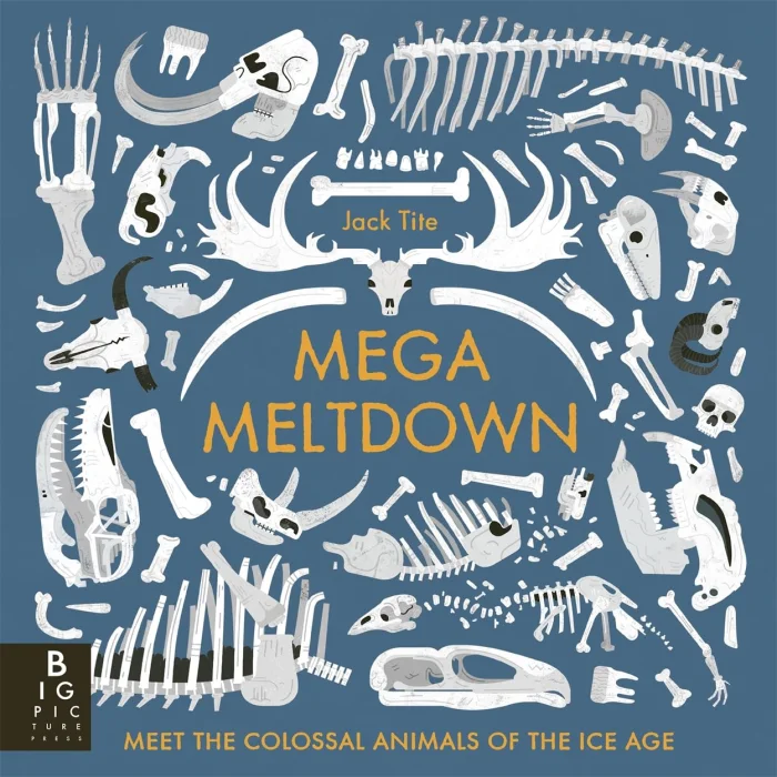 Mega Meltdown, anglická kniha