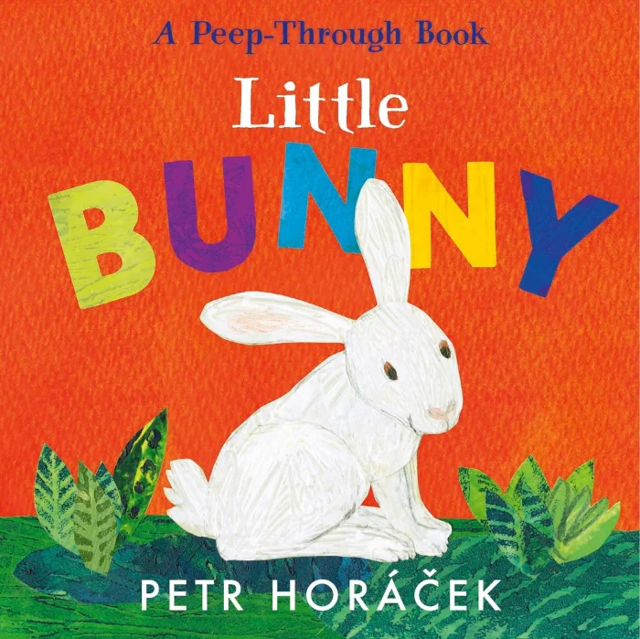 Little Bunny, anglická kniha- leporelo