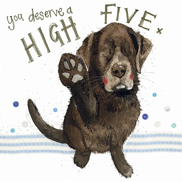 High Five Dog Card (S330), prianie