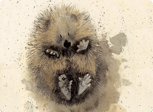 Prickles Hedgehog (MT24), podložka na stôl
