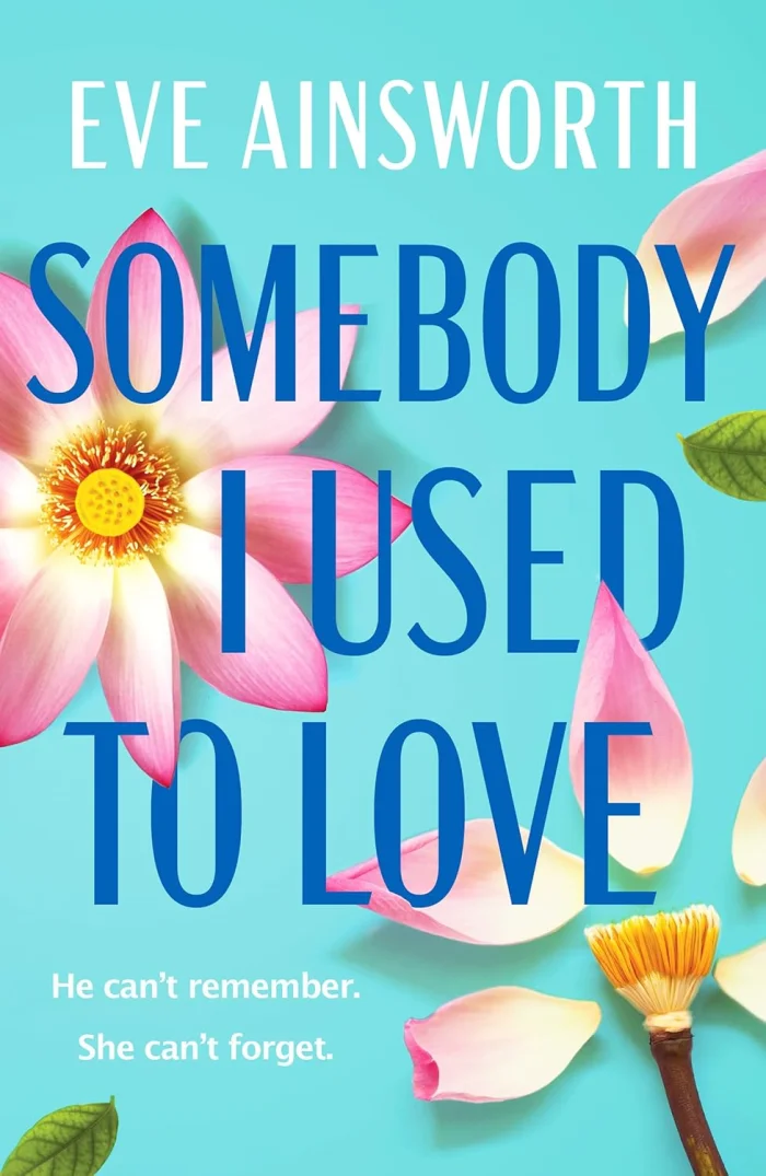 Somebody I Used to Love, anglická kniha