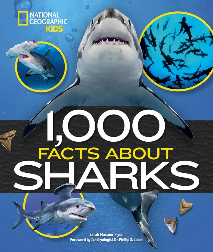 1000 Facts About Sharks, anglická kniha