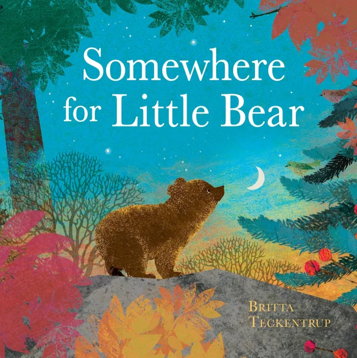 Somewhere for Little Bear, anglická kniha