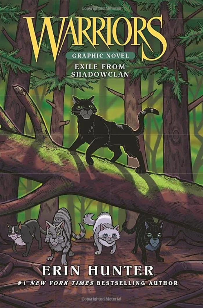 Exile from ShadowClan (3), anglická kniha- komiks