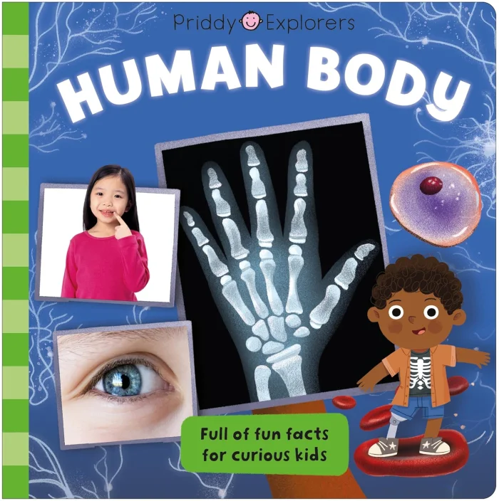 Human Body, anglická kniha - leporelo