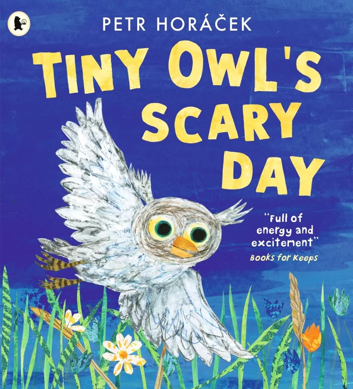 Tiny Owl's Scary Day, anglická kniha