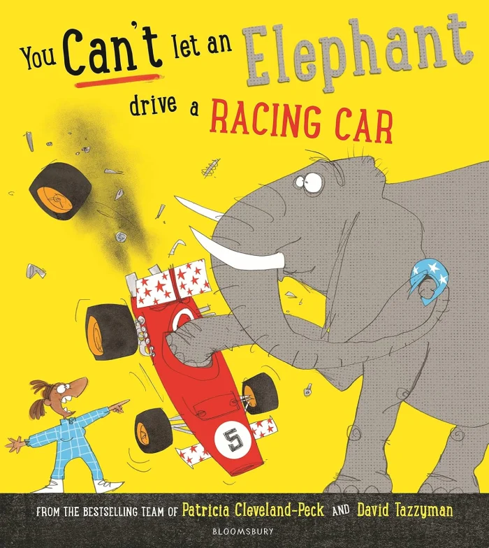 You Can't Let an Elephant Drive a Racing Car, anglická kniha