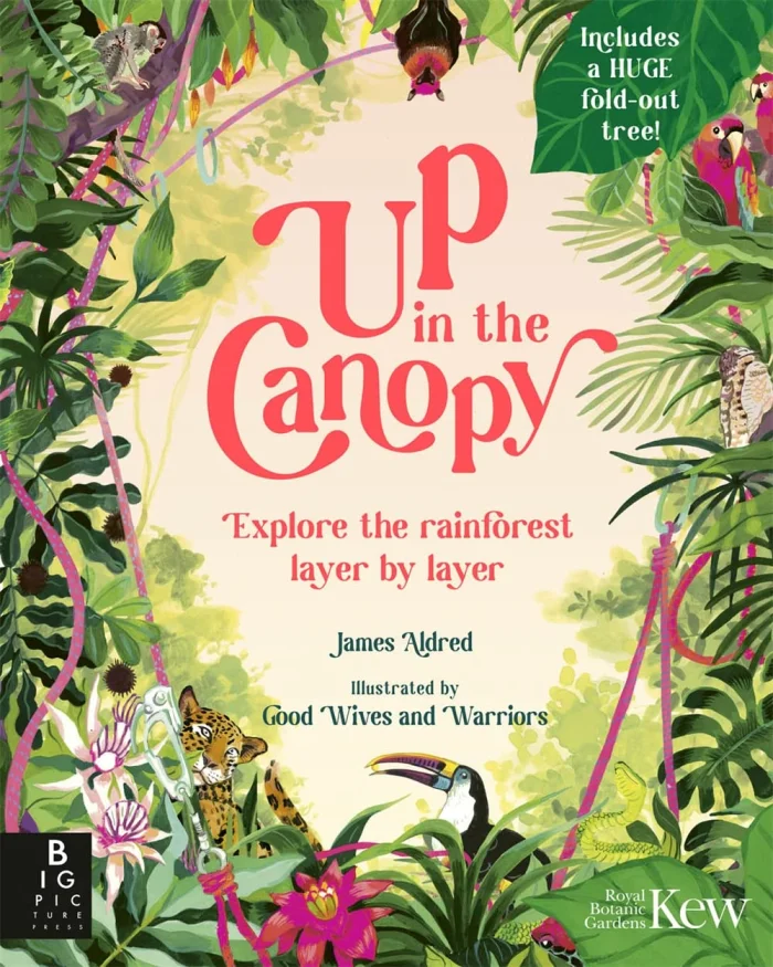 Up in the Canopy: Explore the Rainforest, Layer by Layer, anglická kniha