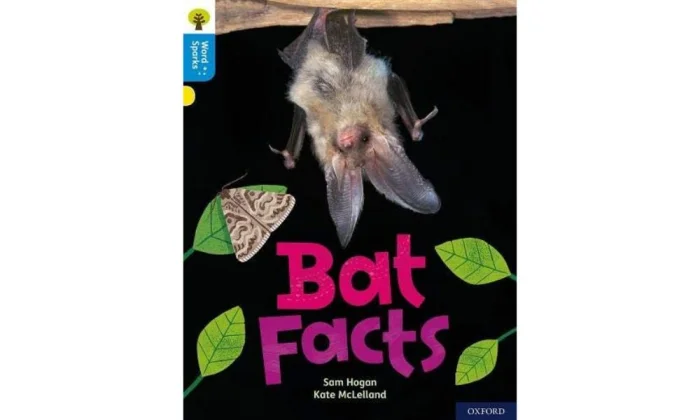 Bat Facts (L3), anglická kniha