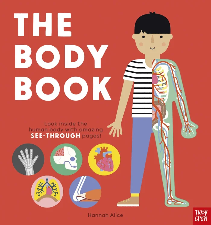 The Body Book, anglická kniha - leporelo