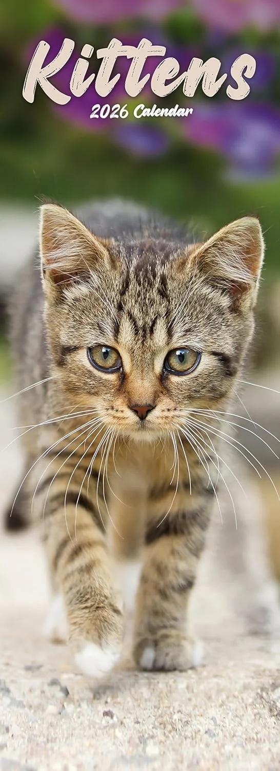 Kittens Slim Calendar 2026, kalendár