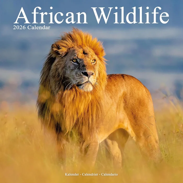 African Wildlife 2026 Calendar, kalendár