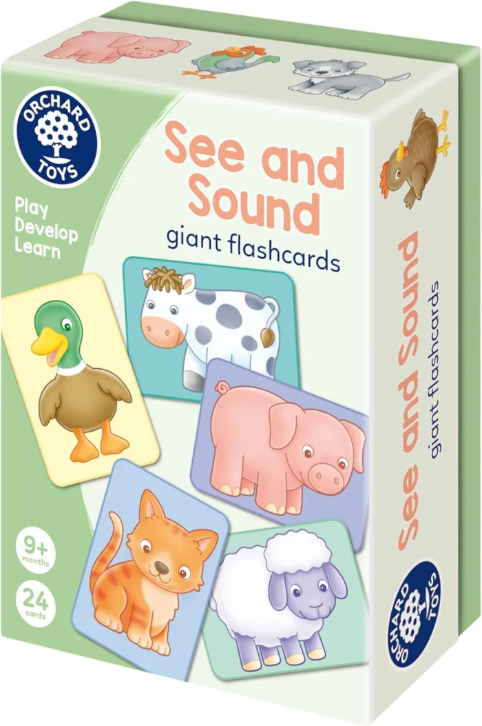 See and Sound Giant Flashcards, výukové kartičky