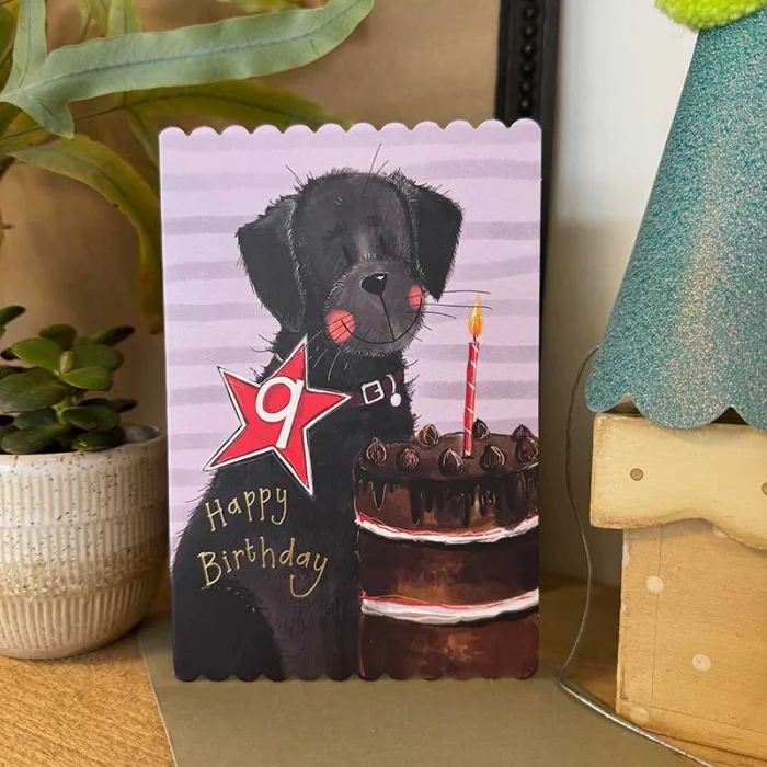 9th Birthday Card (DC52), prianie