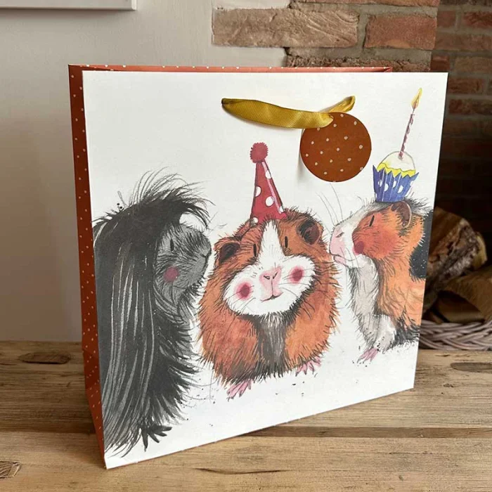 Guinea Pig Gift Bag / medium (GBM06), darčeková taška