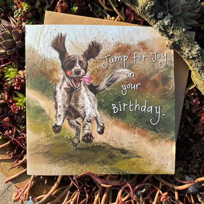 Hobbs Birthday Card (AC899), prianie