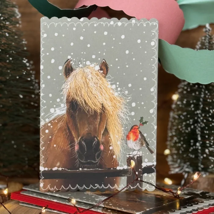 Horse and Robins Christmas Card (XDC08), prianie