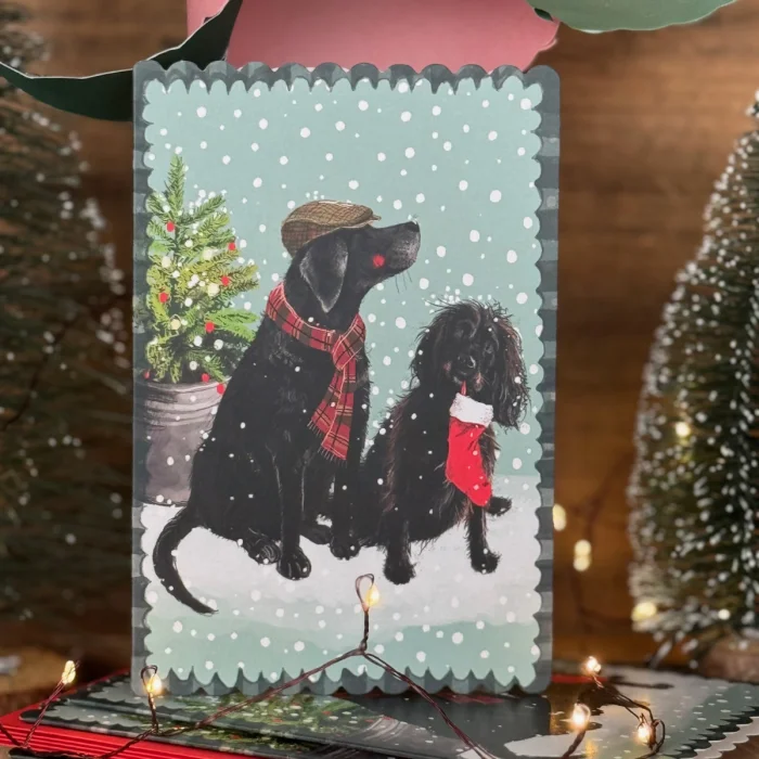Sprout's Stocking Christmas Card (XDC29), prianie