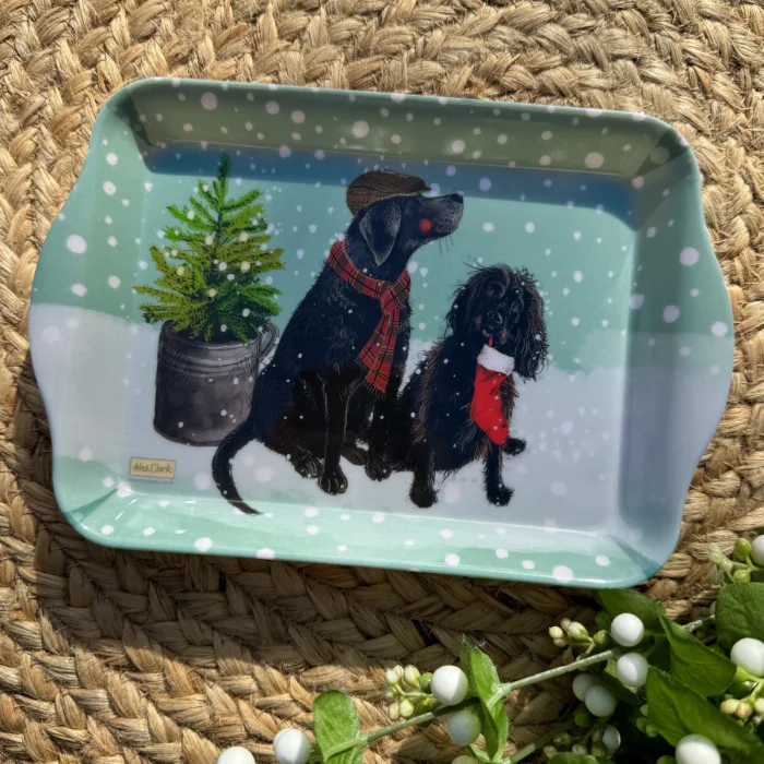 Sprout's Stocking Small Tray (XSTY03), malá tácka