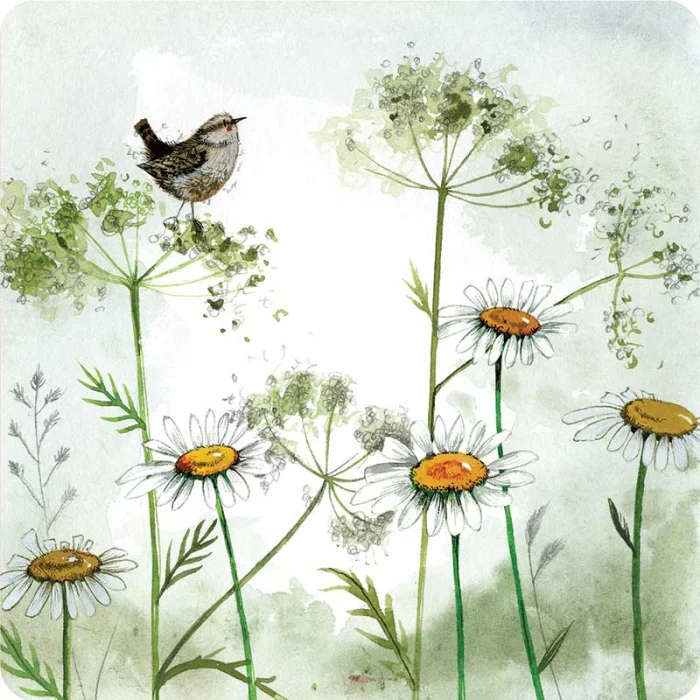 Wren and Cow Parsley Coaster C213, podložka pod pohár
