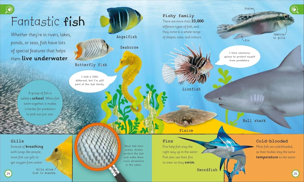 My Encyclopedia of Very Important Animals, anglická kniha