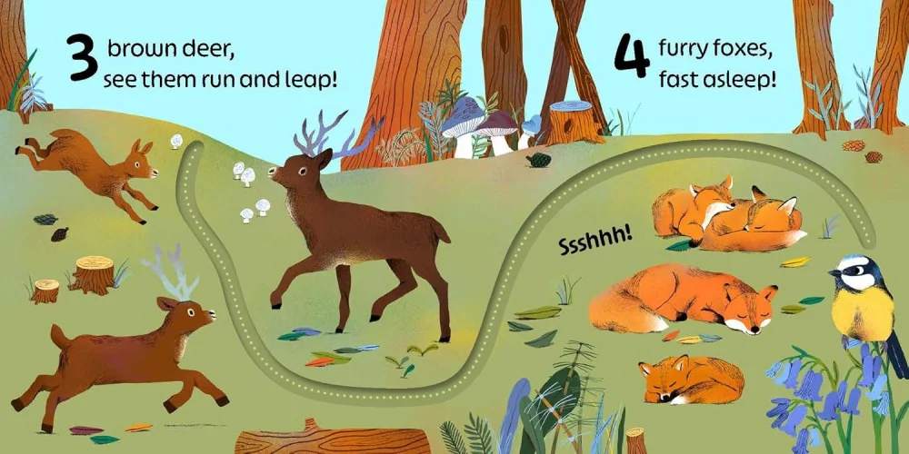 Numbers (With finger trails and lift-the-flap surprises!), anglická kniha - leporelo