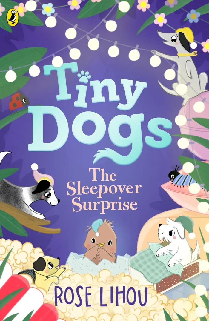 The Sleepover Surprise (4), anglická kniha
