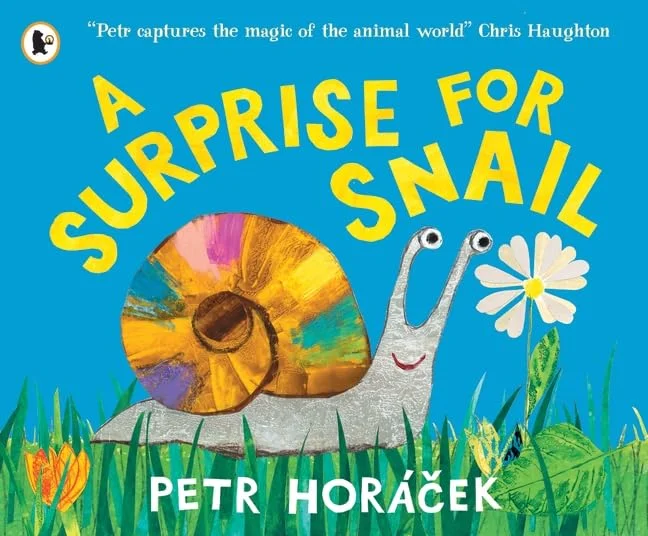 A Surprise for Snail, anglická kniha