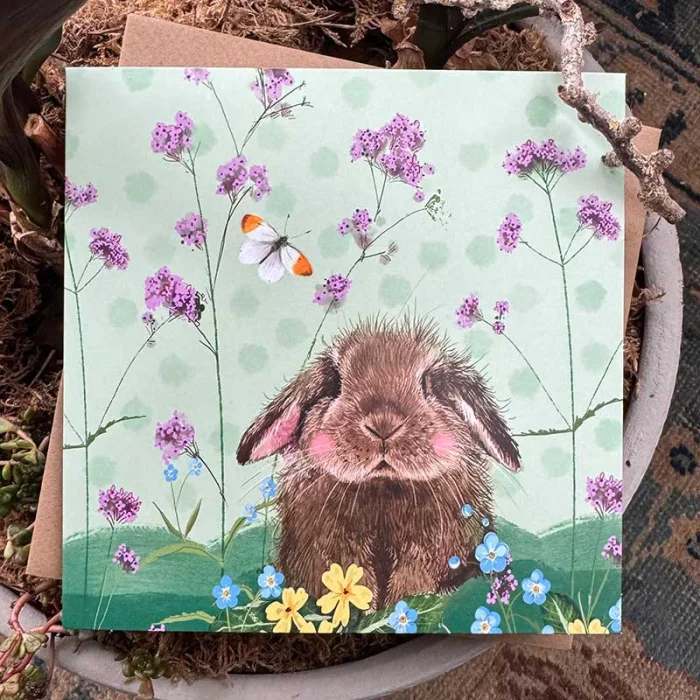 Bramble Card AC901, prianie