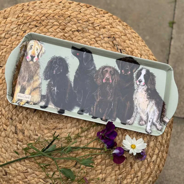 Dogs Medium Tray (MTY07), podlhovastá tácka