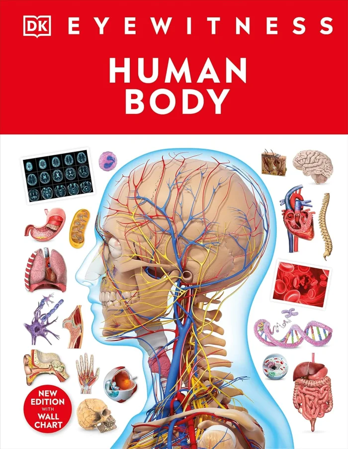 Human Body, anglická kniha