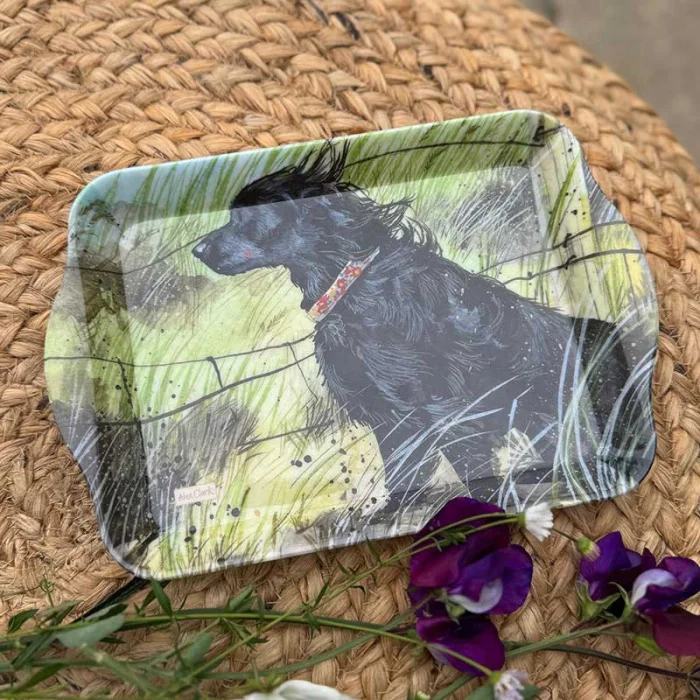 Windswept Small Melamine Tray (STY18), malá tácka