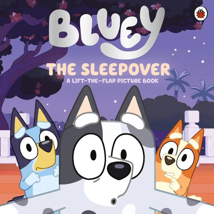 The Sleepover (A Lift-the-Flap Book), anglická kniha