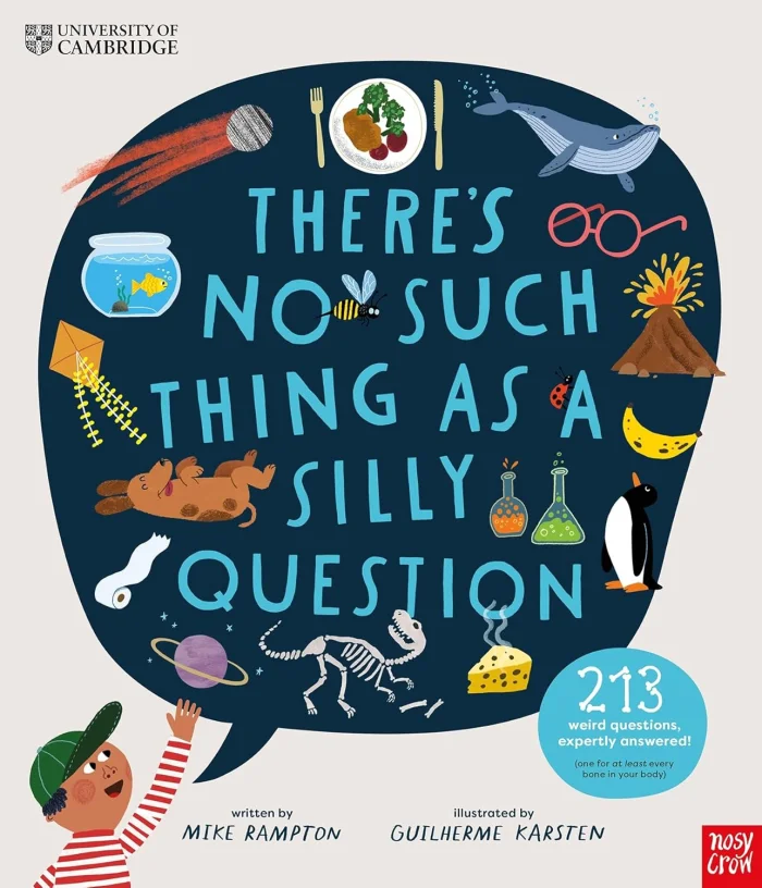 There's No Such Thing as a Silly Question, anglická kniha